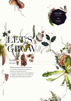 the cover of an article with plants and insects on it's page, which reads let