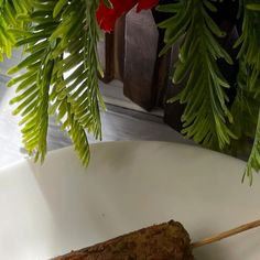 a piece of meat sitting on top of a white plate next to a plant with green leaves