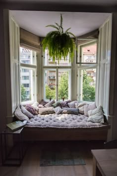 a window seat with pillows and plants hanging from it