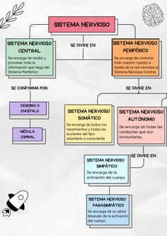 a diagram showing the different types of items in spanish and other languages, including an image of