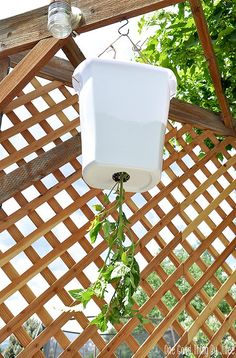 a white light fixture hanging from a wooden pergolated roof with vines growing on it