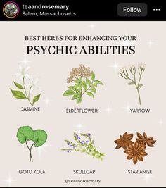 Herbs To Enhance Psychic Abilities, Herbs For Clarity Witchcraft, Herbs For Psychic Abilities, Focus Herbs, Witch Recipes, Open To Receiving