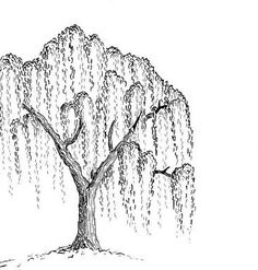 a drawing of a tree with hearts hanging from it's branches and water droplets falling off the leaves