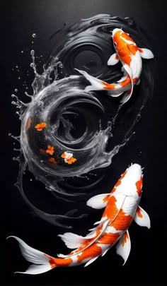 two orange and white koi fish swimming in the water with splashing water around them