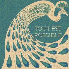 a peacock with its feathers spread out and the words tout est possible