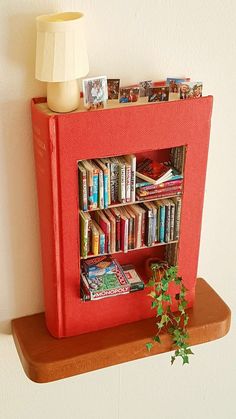 a red book shelf with books on it and a plant growing out of the top