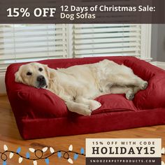 a large dog laying on top of a red couch in front of a christmas tree