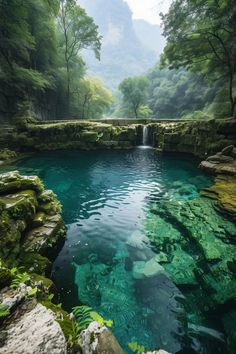 a small pool in the middle of a forest filled with green plants and rocks, surrounded by greenery