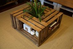 a coffee table made out of pallet wood with a plant in the middle on top