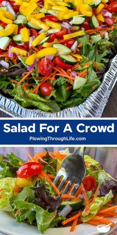 salad for a crowd with lots of vegetables