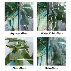 four different types of glass and plants