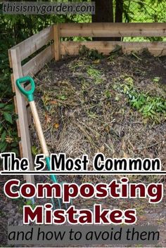 the 5 most common composting stakes and how to avoid them in garden beds