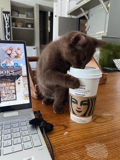 a cat is drinking out of a coffee cup next to a laptop on a table