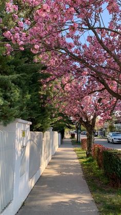 a tree with pink flowers on it next to a white fence