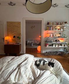 a black and white cat laying on top of a bed