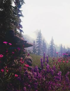 some purple flowers and trees in the foggy day with mist coming down on them