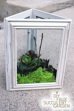 a white frame with some plants in it and moss growing out of the bottom half