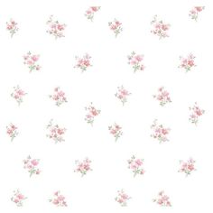 Purchase PR33842 Floral Prints 2 Red Small Floral Wallpaper by Norwall Wallpaper Spot Wallpaper, Phone Makeover, Art Topics, Daisies Wallpaper, Floral Print Wallpaper, Spotted Wallpaper, Daisy Wallpaper, Eyeliner Styles, Manhattan Comfort