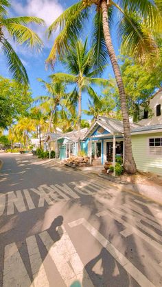 a person riding a skateboard down a street next to palm trees