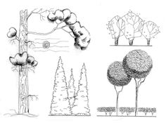 some trees and bushes are shown in this drawing