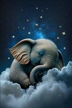 an elephant is sitting in the clouds with stars