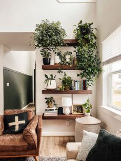 a living room filled with furniture and lots of greenery on the shelves above them