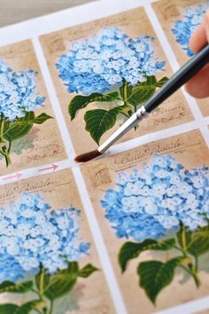 a person holding a brush and drawing blue hydrangeas on a piece of paper