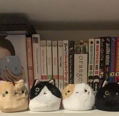 three stuffed cats sitting on top of a book shelf next to books and a camera