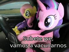 two stuffed animals sit in the front seat of a car, one pink and one purple