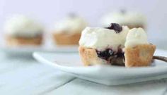 small blueberry cupcakes on a white plate