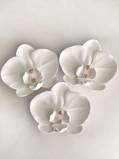 three white orchids with gold centers on a white background, set against a plain backdrop