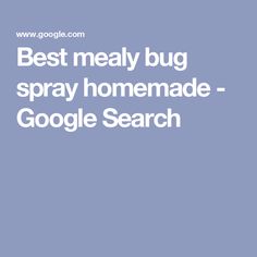 the words best meal bug spray homemade google search are in white letters on a blue background