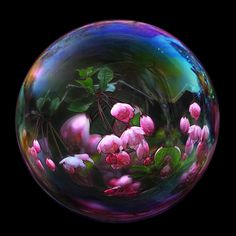 a glass ball with pink flowers and leaves in it on a black background is shown