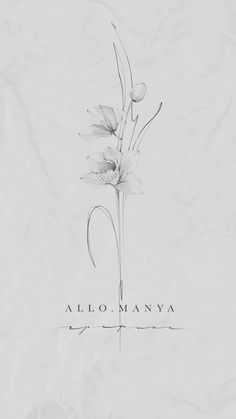 a drawing of a flower with the words alo manya on it's side