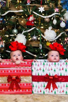 two babies sitting in christmas presents under a christmas tree