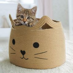 a cat sitting in a crocheted basket on top of a white carpeted floor