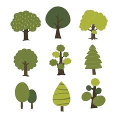 different types of trees on a white background