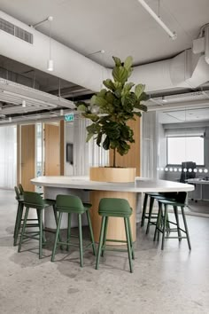 an office with green chairs and a large plant in the center of the desk area