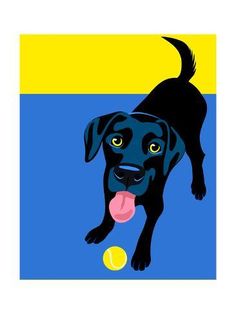 a black dog with its tongue out and a tennis ball in front of it