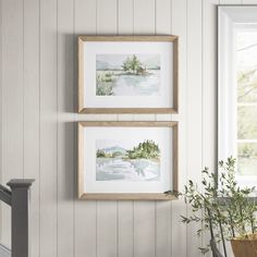 two framed pictures hang on the wall above a plant in a room with white walls