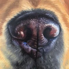 a painting of a dog's nose and eye