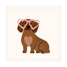 a brown dog with heart shaped glasses on it's face, sitting in front of a white background