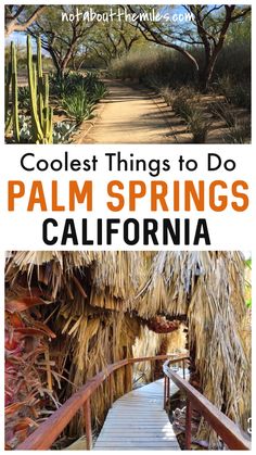 palm trees and walkways with text overlay that reads cool things to do palm springs california