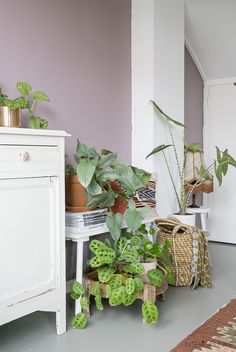 some houseplants are sitting on the floor next to a dresser