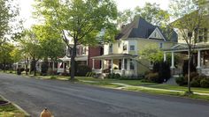 a street lined with houses and trees on either side of the road is a yellow fire hydrant