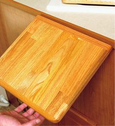 a person holding a wooden cutting board in front of a sink and toilet paper dispenser