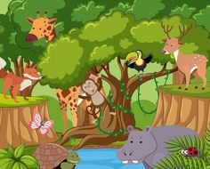 the animals are in the jungle by the water