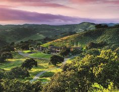 a lush green hillside covered in lots of trees and grass under a pink sky with clouds