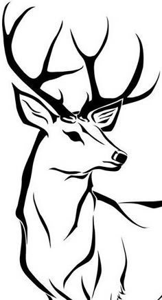 an image of a deer with antlers on it's head