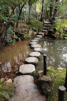 stepping stones in the middle of a stream